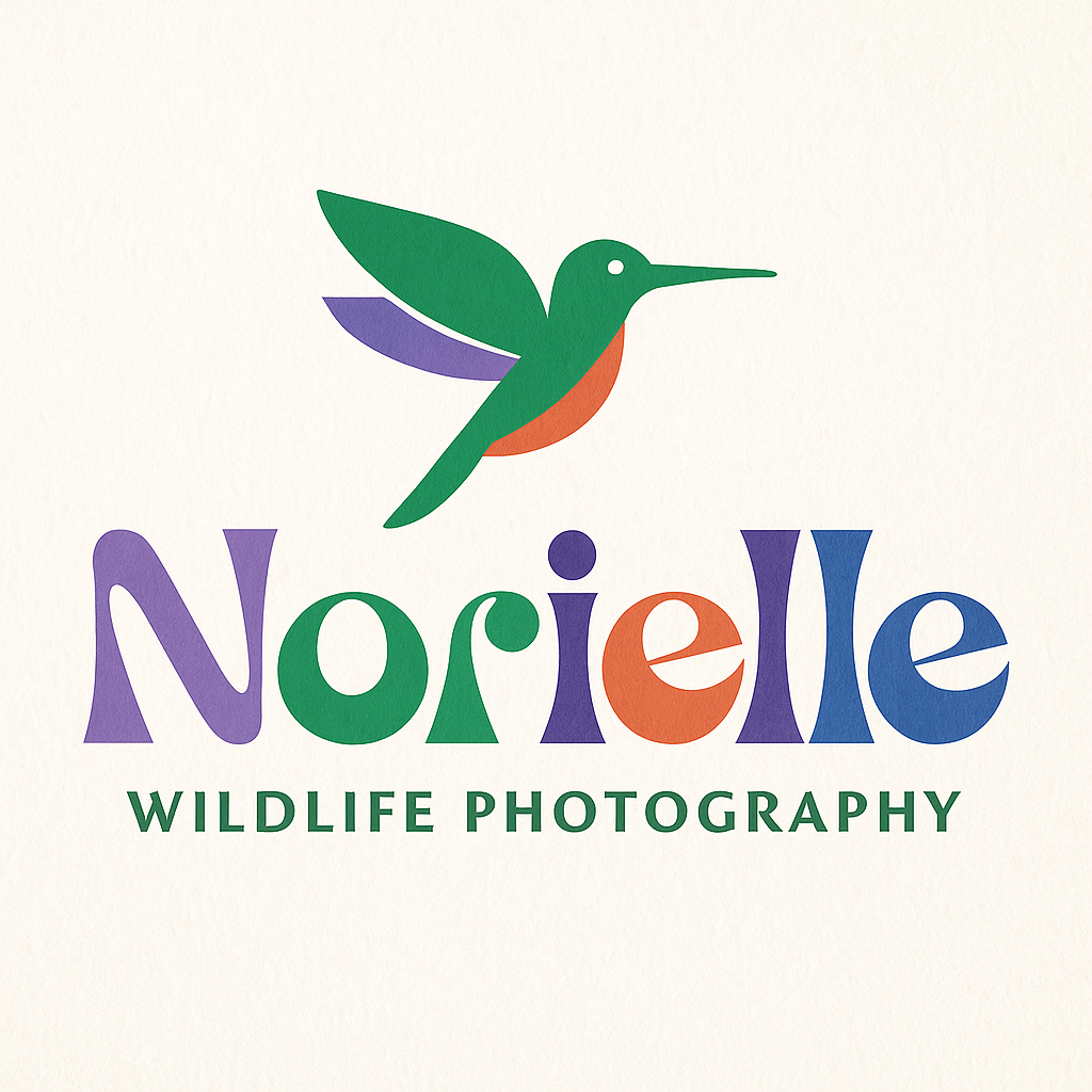 Font based logo for a wildlife photography brand